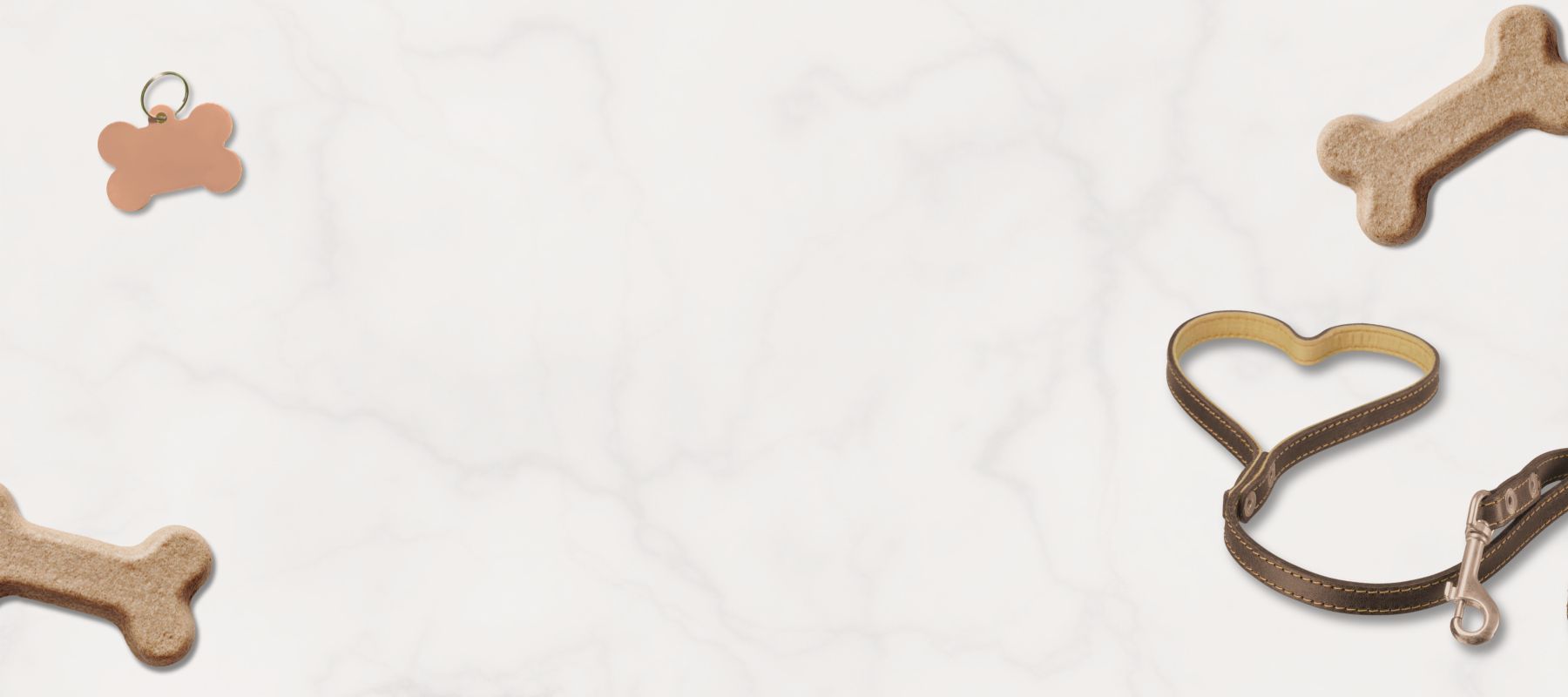 Accessibility & ADA Cards