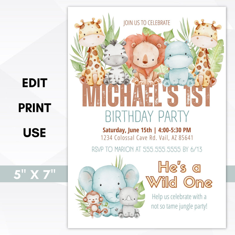 wild one first birthday