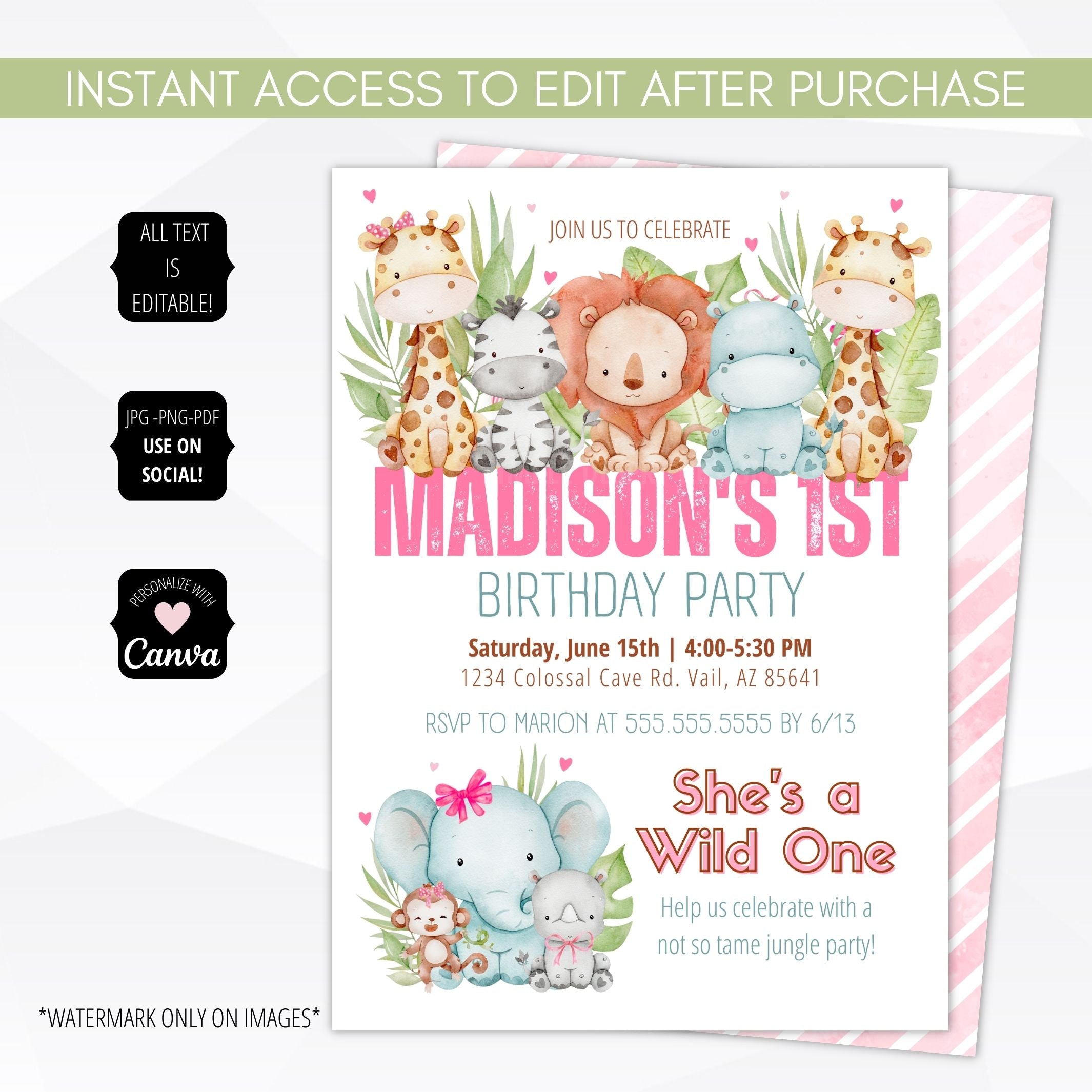 wild one party invitation