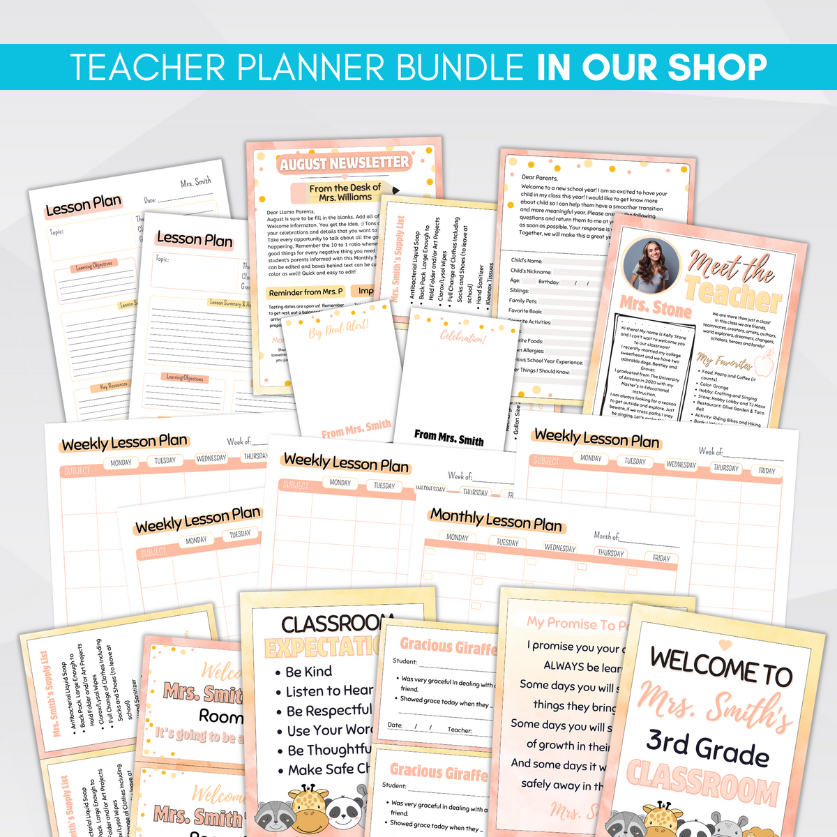 Lesson Planet Editable Lesson Plan Template Bundle - Simple Desert Designs