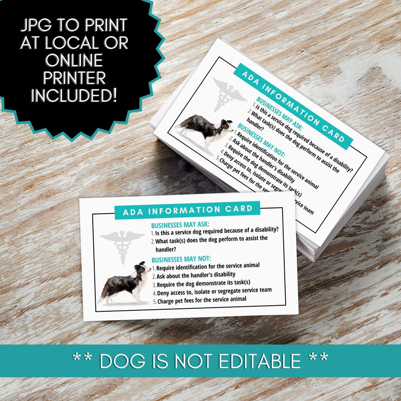 ada law cards