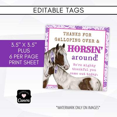 horse theme party supply bundle