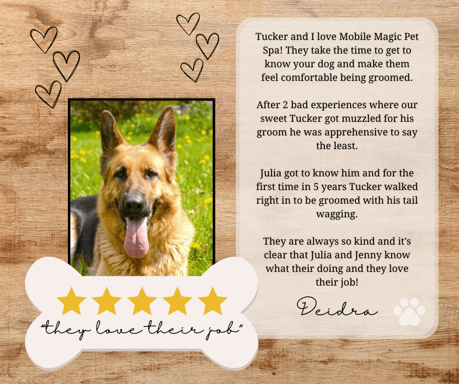 Dog Grooming Social Media Review Template – Simple Desert Designs