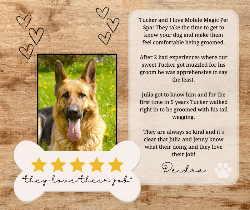 Dog Grooming Social Media Review Templates Simple Desert Designs