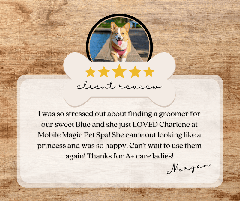 Dog Grooming Social Media Review Template – Simple Desert Designs
