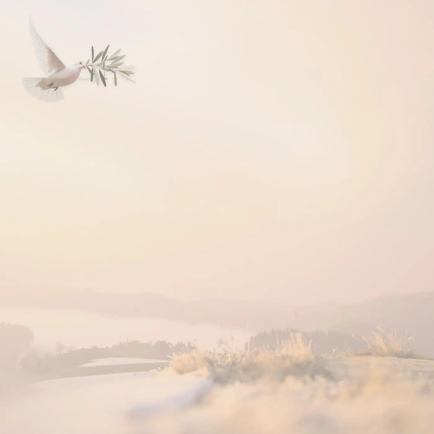 White dove flying with an olive branch against a soft, blurred landscape representing a collection of editable templates and resources for churches and ministry leadership for small groups, congregations and communication created by Simple Desert Designs.