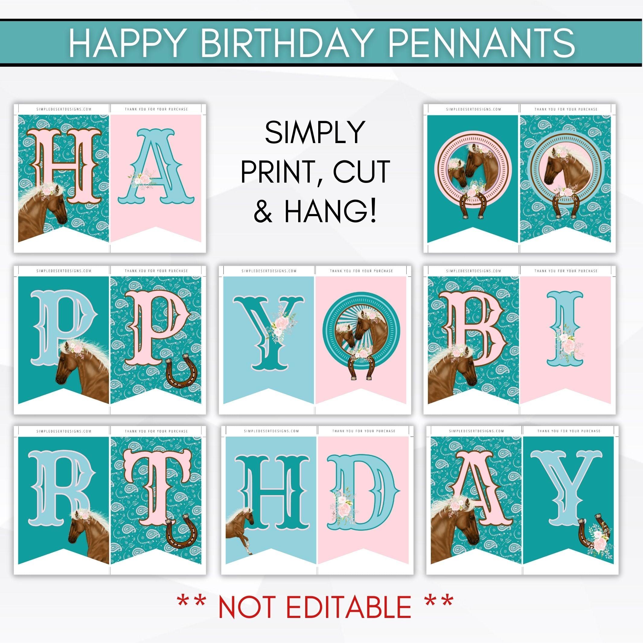 cowgirl birthday party supplies