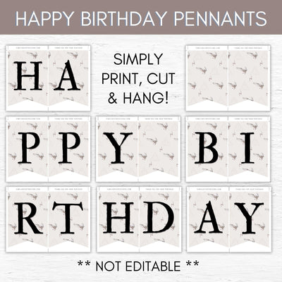 happy birthday sign pennants bunting wizarding