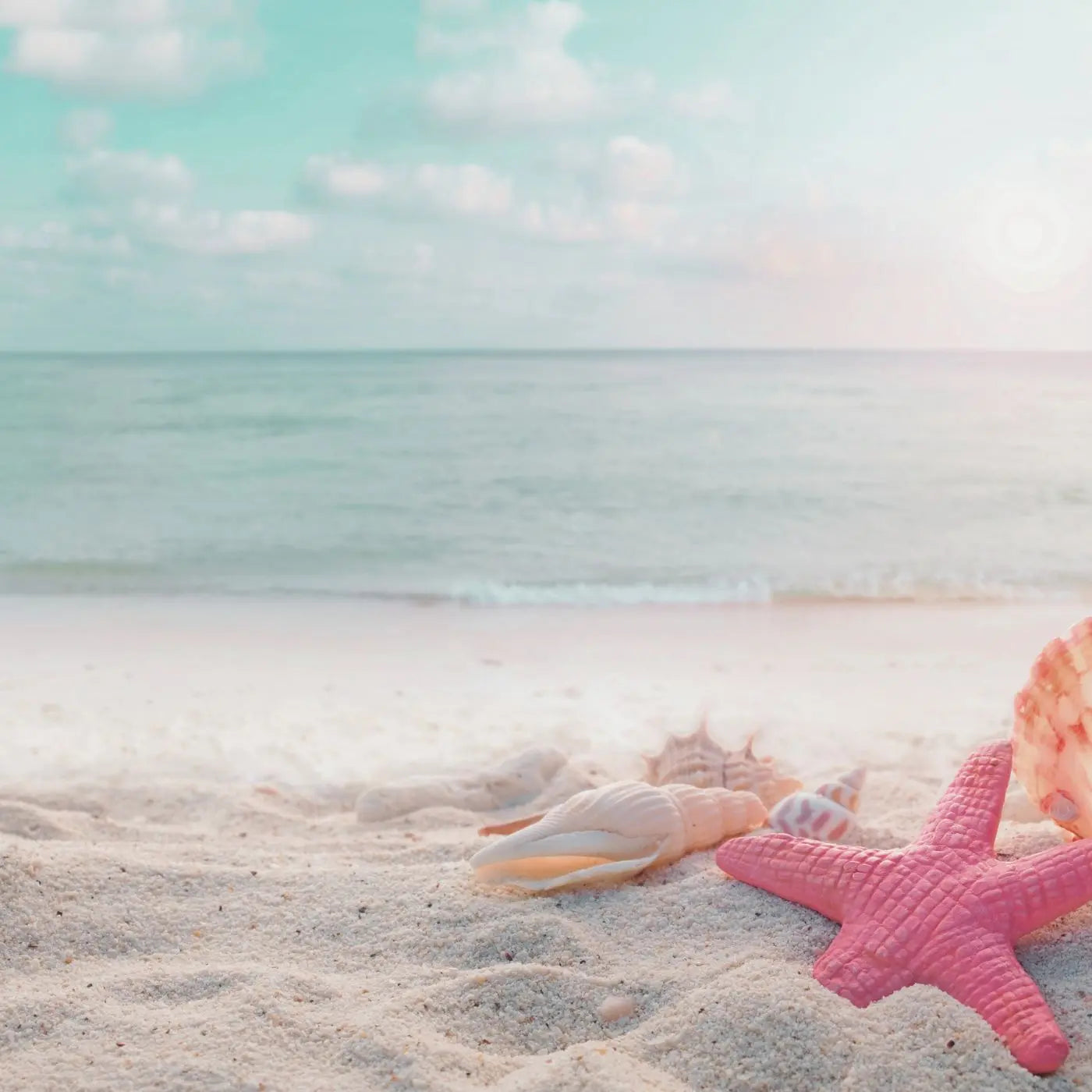 Pink starfish and seashell on a sandy beach with ocean and sky in the background representing editable invitations, flyers, tags, and event bundle templates by Simple Desert Designs.